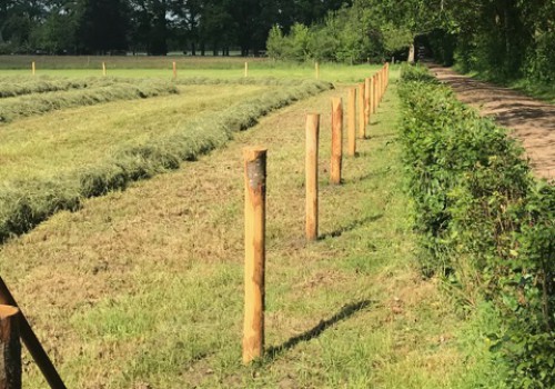 Hoe palen in de grond slaan?